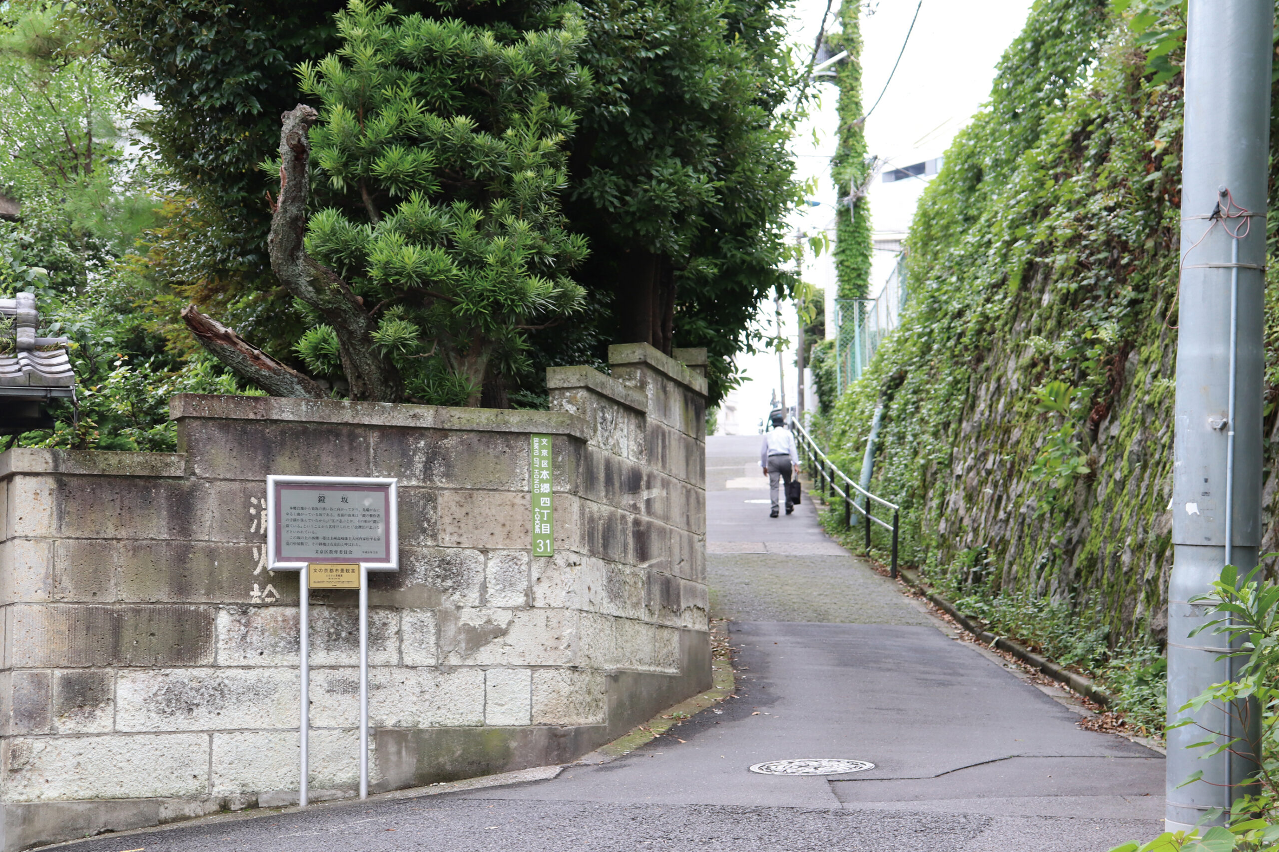 目で見る文京区の100年 写真が語る激動のふるさと一世紀 /